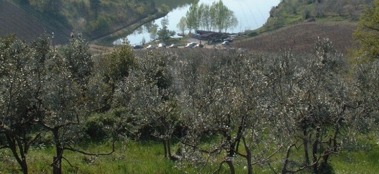 La Fontina di Comeana