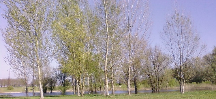 Parco Fluviale di Lastra a Signa