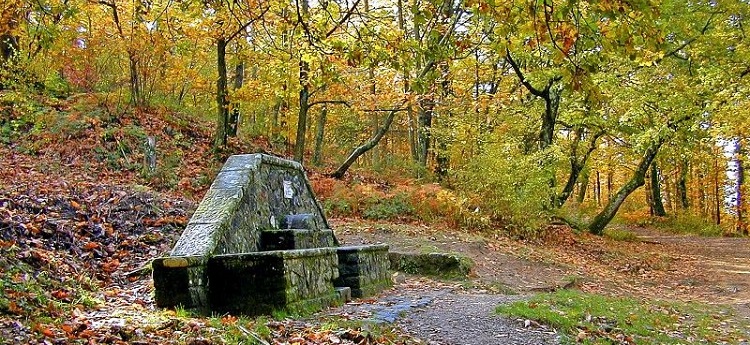 Fontesanta Bagno a Ripoli