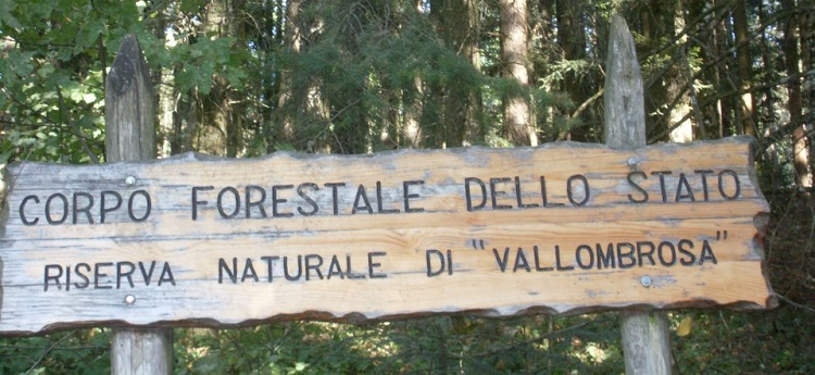 Riserva di Vallombrosa